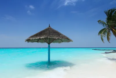 Самые фотографируемые и красивые пляжи на Сейшелах
