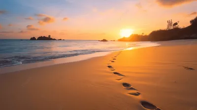 Красивые ноги на пляже стоковое фото. изображение насчитывающей океан -  65297780
