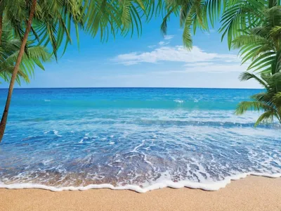 картинки : море, берег, воды, песок, океан, солнце, лето, отпуск, плавать,  цвет, Лагуна, Залив, Остров, Азия, красивая, Зонтик, Карибы, пальмовые  деревья, тропики, Забронированы, мыс, островок, Мальдивы, Рельеф, Песчаный  пляж, красивые пляжи, Cay,
