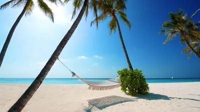 Лучшие пляжи Мальдив. Правила отдыха на мальдивских пляжах, интересные  факты, подборка отелей.