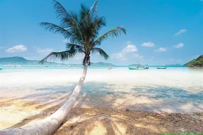Рай на земле: самые красивые пляжи мира по версии National Geographic -  PrimaMedia.ru