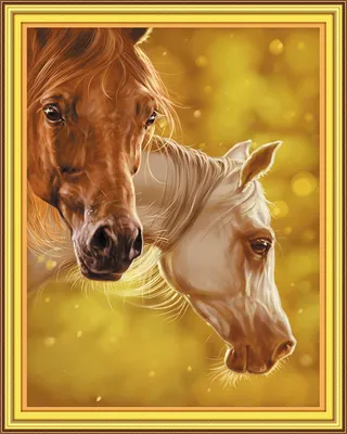 Обои на телефон лошади красивые - 63 фото