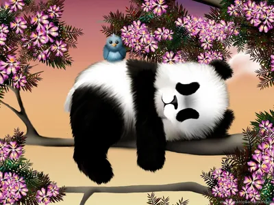 Милые панды - 78 фото