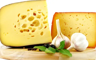 К какому вину подают сыр: какой сыр подходит к красному и белому вину
