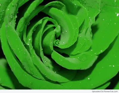 Кислотные дождь . Кислотно-зеленого …» — создано в Шедевруме