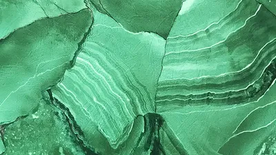 Красивые серьги из янтаря зелёного цвета «Лион» в интернет-магазине янтаря