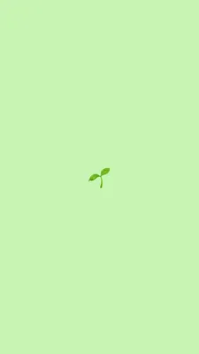 Красивые листья зеленого цвета как предпосылка Стоковое Фото - изображение  насчитывающей зеленый, парк: 57874770
