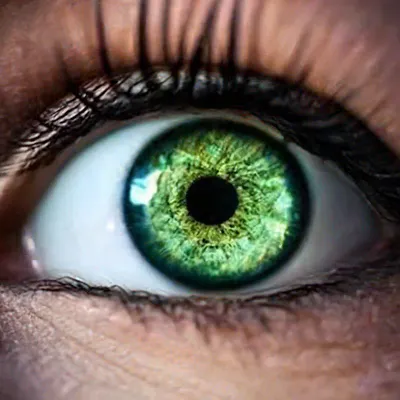 In your eyes | Глаза, Коричневые глаза, Зеленый