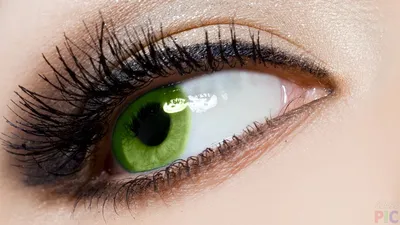 Зеленые глаза - красивые фото