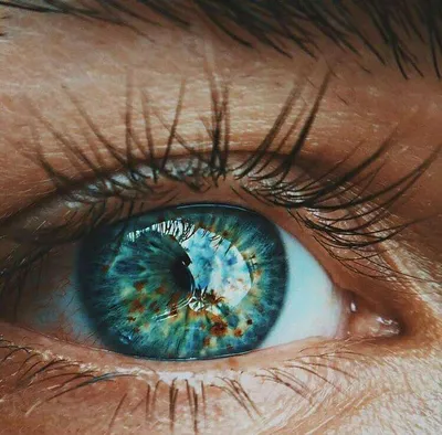 Красивые зелёные глаза латиноамериканка Стоковое Изображение - изображение  насчитывающей латина, глаза: 247881377