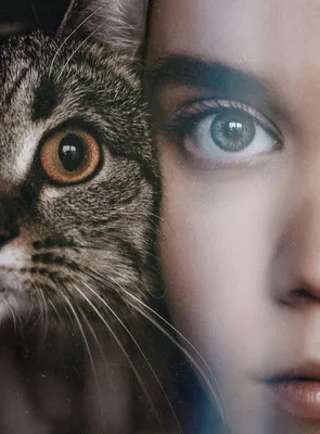 Глаза кошки и девушки | Кошки, Фотоискусство, Портрет