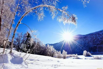 Красивая зима :: Алла Захарова – Социальная сеть ФотоКто
