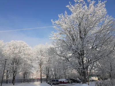 Красивая снежная зима в России Стоковое Изображение - изображение  насчитывающей люди, освещение: 82668425