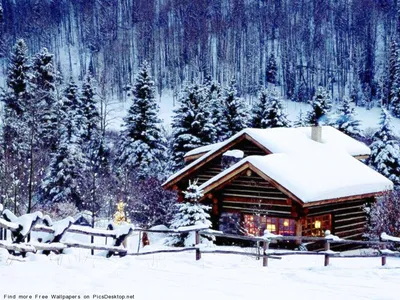 Зима в фотообъективе: самые красивые зимние фото - Delfi RU