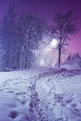 Картина по номерам Красивая зима, ArtStory, AS0706 - описание, отзывы,  продажа | CultMall