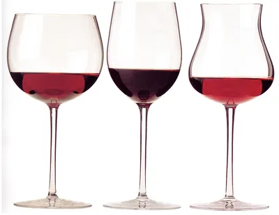 Блюда к красному вину: с чем подают красное вино