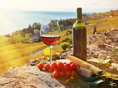 ВИНЕСТРЕЛЛА ГАРНАЧА вино красное сухое ординарное 13% 6*0,75л Испания –  Совин