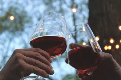 5 причин почему красное вино лучше белого? | Смотреть. Есть. Пить. | Дзен