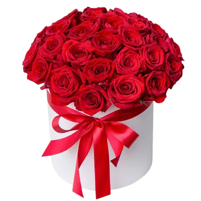 Купить букет из 75 пионовидных красных роз по доступной цене с доставкой в  Москве и области в интернет-магазине Город Букетов