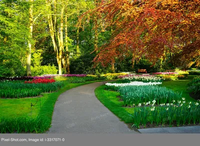 Картинки красивые красота весны (69 фото) » Картинки и статусы про  окружающий мир вокруг