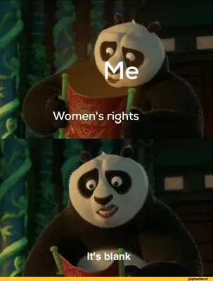 Women's rights It's blank / кунг-фу панда :: DreamWorks :: равноправие ::  права человека :: женщины :: тнн :: без перевода :: английский язык ::  Мультфильмы :: сексизм :: Прикольные картинки /