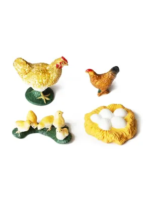 Курица и яичко — раскраска для детей. Распечатать бесплатно.