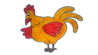 Раскраски для детей и взрослых хорошего качестваРаскраска курица -  Раскраски для детей и взрослых хорошего качества