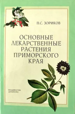 Технология выращивания лекарственных трав и растений. Выращивание лекарственных  трав