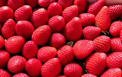 Свежие фрукты и ягоды лета стоковое фото. изображение насчитывающей сырцово  - 167536788