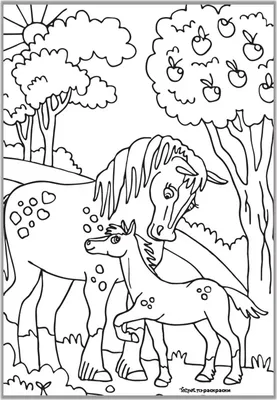 Лошади. Энциклопедия для детей - Arbat.gr