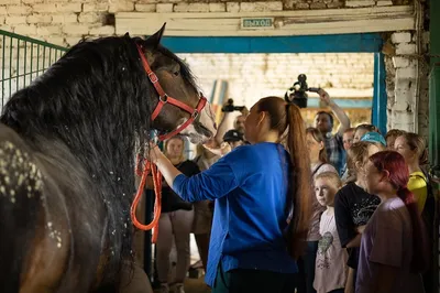 Они для меня как дети: казахстанка участвует в скачках и разводит лошадей в  Мангистау - 14.05.2023, Sputnik Казахстан