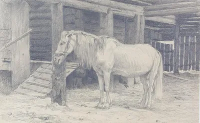 Horse on a white background | Иллюстрация лошади, Лошади, Графика