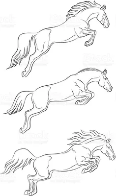 Jumping horse on a white background | Прыгающие лошади, Татуировка с лошадью,  Лошади