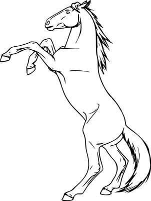 Иллюстрация Голова лошади в стиле академический рисунок, графика,