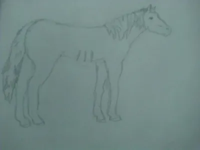 Бегущая лошадь,,. Детский рисунок. Иллюстрация Stock | Adobe Stock
