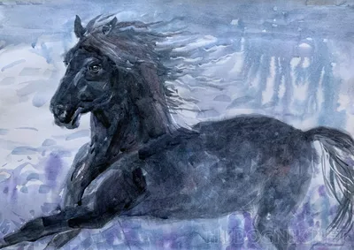 Рисунок коня карандашом для срисовки - 57 фото