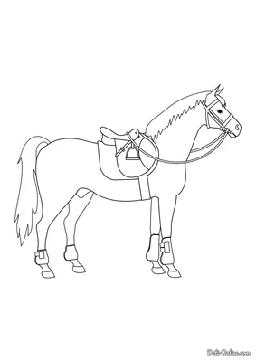 Детский рисунок лошади. Иллюстрация с лошадью для детской книжки, алфавита,  развивающих карточек. Лошадь, выделенная на белом фоне. Домашние животные  на ферме. - Ozero - российский фотосток