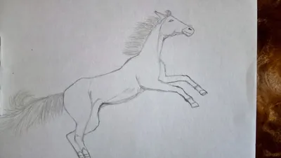 Анимированная лошадь красота раскрашенная вручную мультяшная лошадь стоящая  лошадь | Премиум Фото