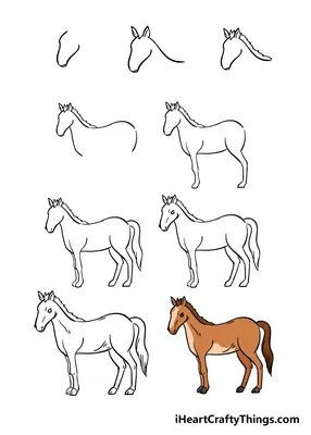 Лошадь Рисунок Лошадью Векторная Иллюстрация Стиле Каракулей Векторное  изображение ©Aquir014b 664143122