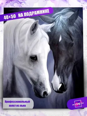 Купить картину алмазная мозаика «Две Лошади» 130x100 см, 30 цветов -  gamestil.ru