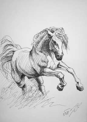 How to draw a horse (a horse) with a pencil? A staged lesson with an  explanation! - YouTube