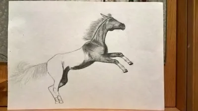 Лошади в деревне рисунок карандашом - 69 фото