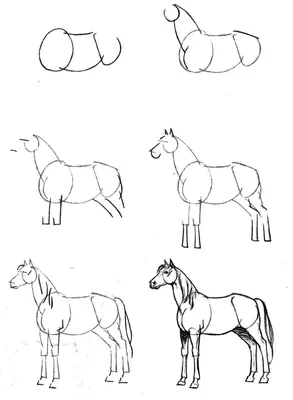 Как нарисовать реалистичную лошадь на дыбах поэтапно | Лошади, Рисовать  животных, Рисовать