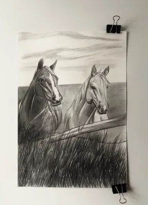 лошади простым карандашом - Demiart