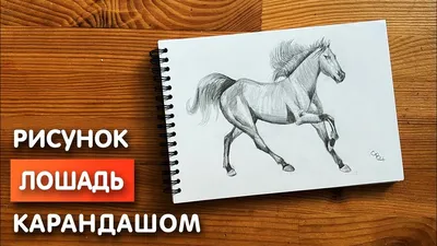 Рисунки лошадей карандашом (много фото) - drawpics.ru