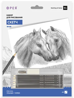 Рисуем портрет лошади цветными карандашами - 11 Июля 2010 - Дневник -  Персональный сайт