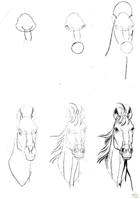 Карандашный рисунок девочки на лошади Стоковая иллюстрация ©joyart #1576268