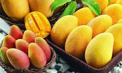 Фото манго фрукт картинки