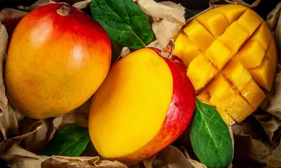 Как растёт манго: видео и фото из фруктовых садов в Израиле | Новости и  статьи ВкусВилл: Москва и область