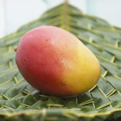 Фрукты Манго - «Как едят манго? | Как выбрать спелый манго? | Польза манго  | Моя любимая подача этого фрукта. » | отзывы